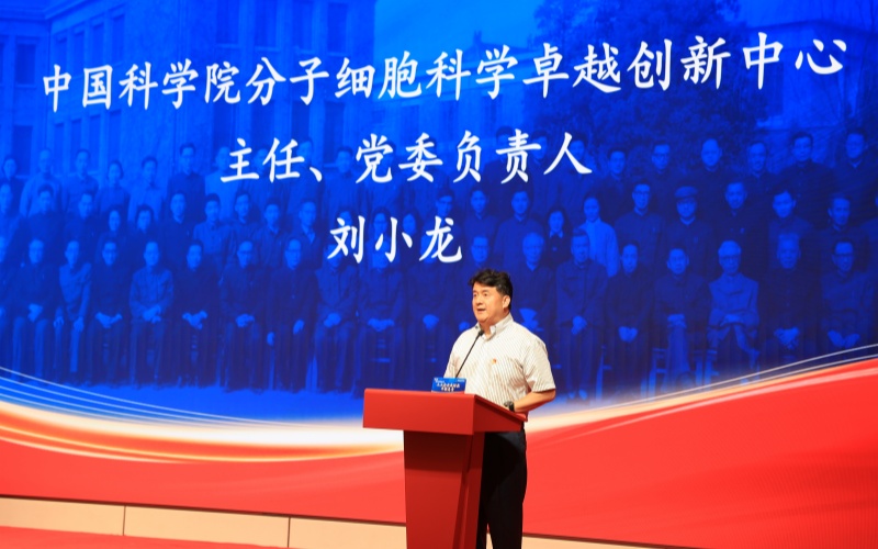 刘小龙主任_副本.jpg